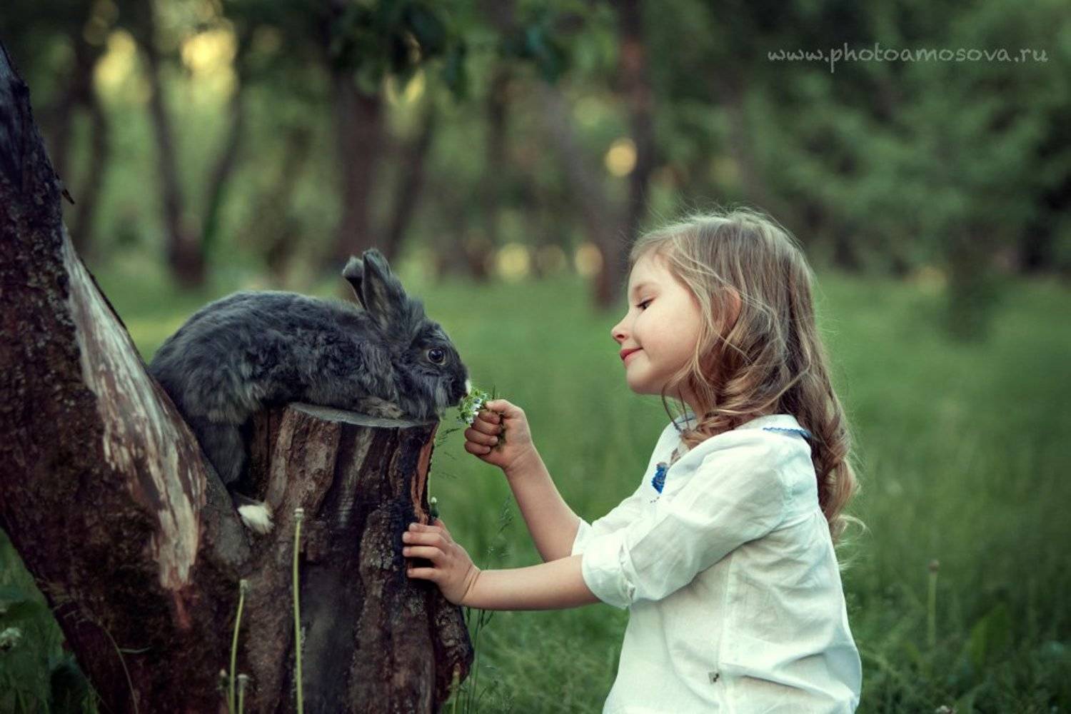 , Ирина Амосова