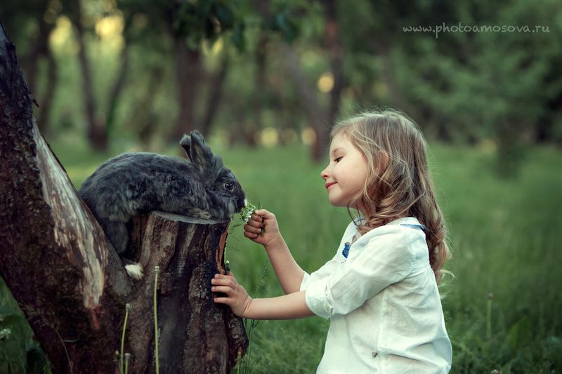 фото превью