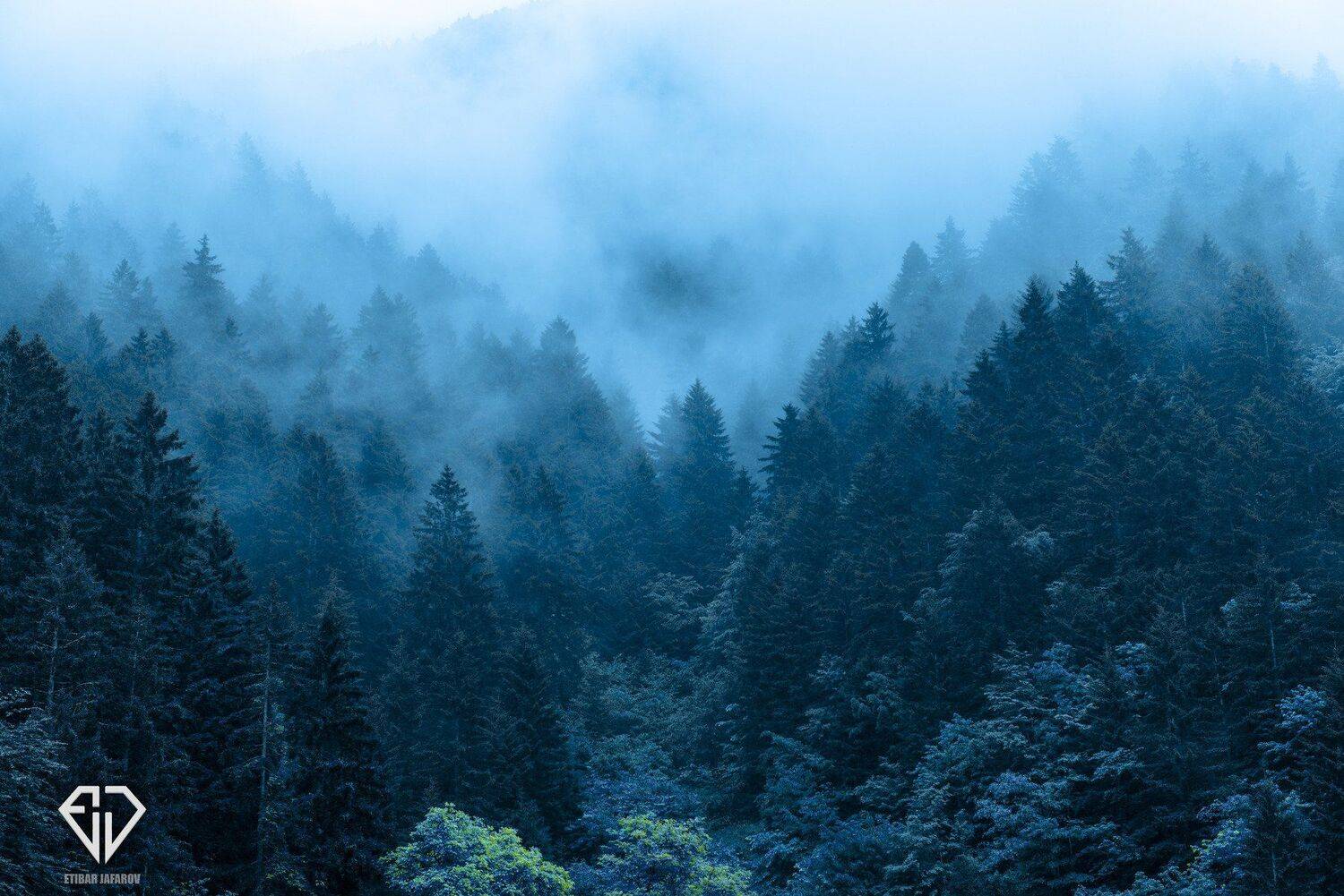 Uzung&ouml;l-Trabzon, Etibar Jafarov