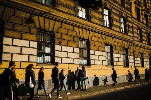 Черное на желтом