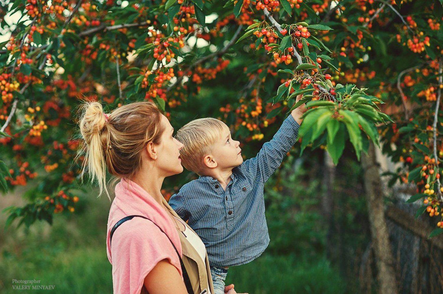 , Миняев Валерий