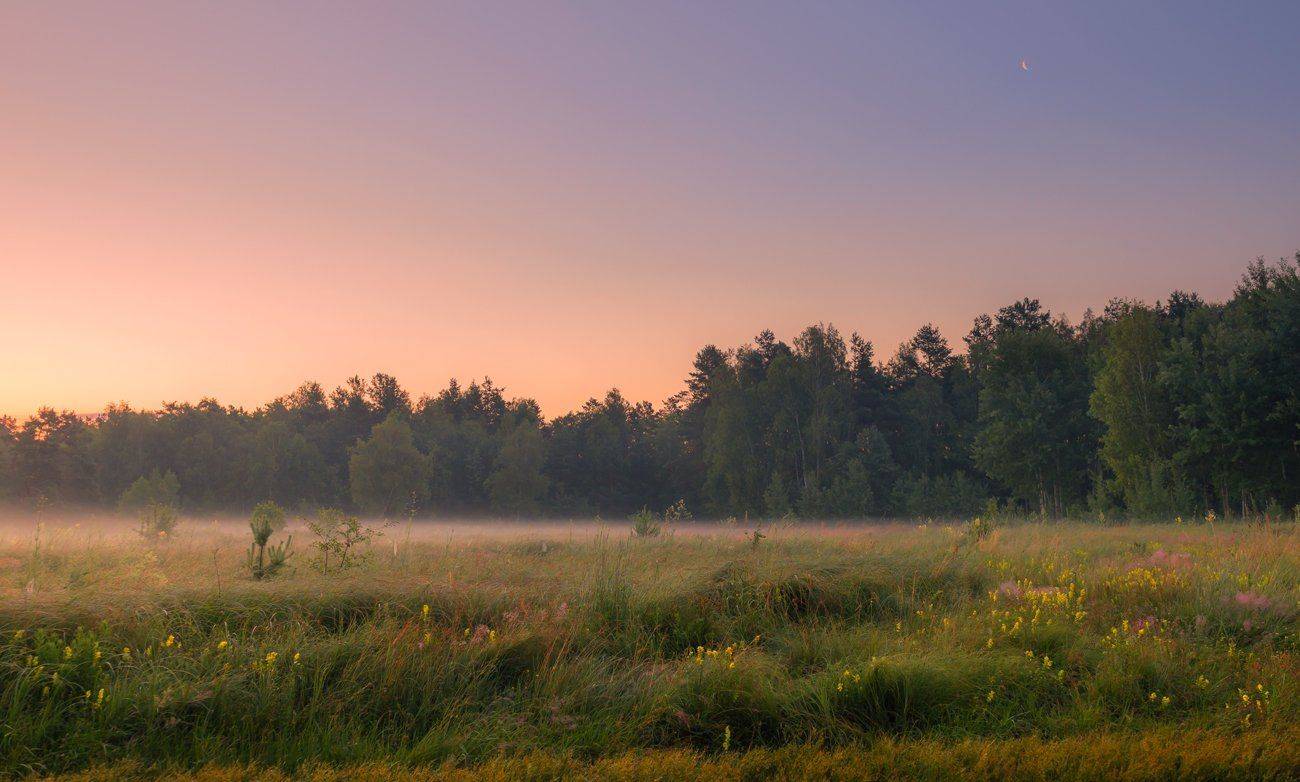 луг, лето, рассвет, месяц, Галанзовская Оксана