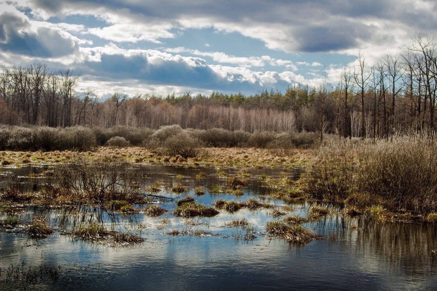 , Руслан Востриков