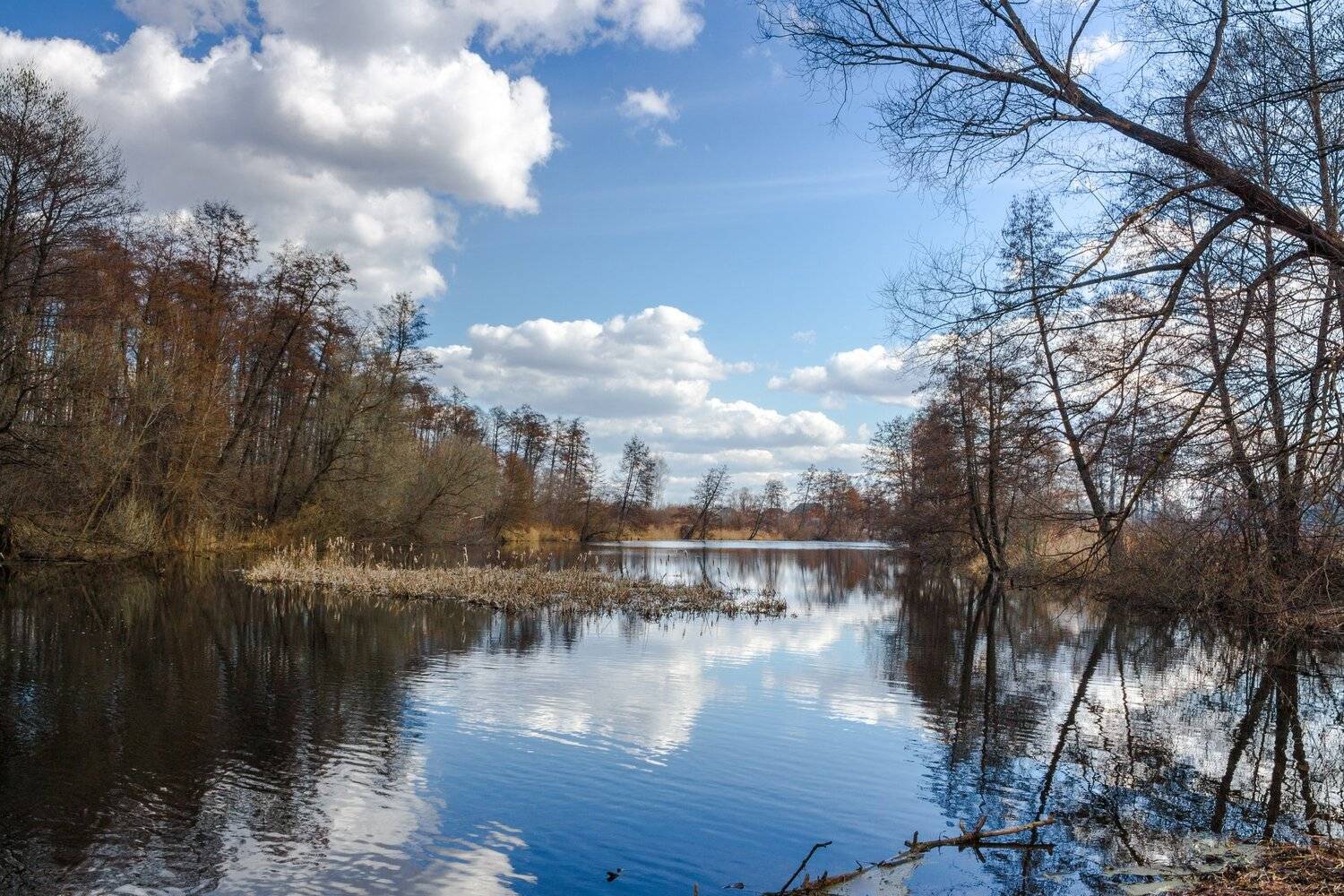 , Руслан Востриков