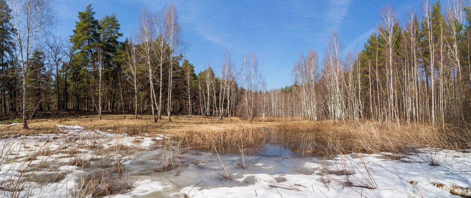 , Руслан Востриков