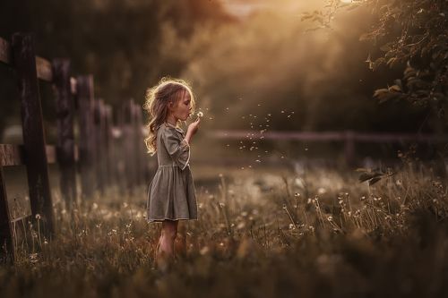 Июньский вечер