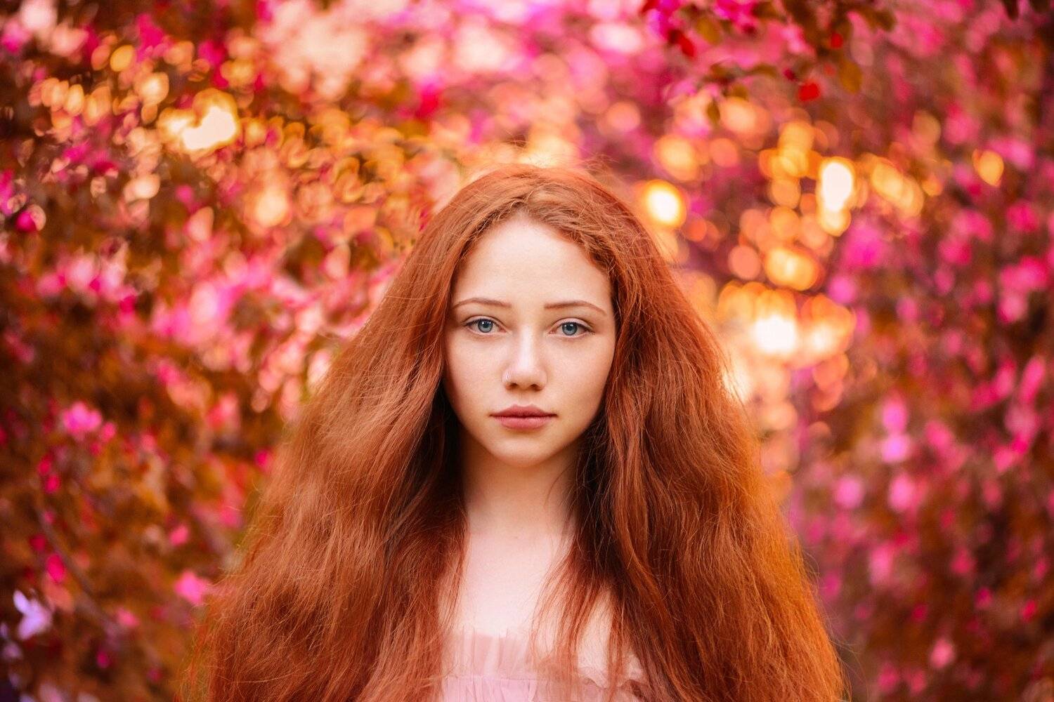 , Анастасия Добровольская