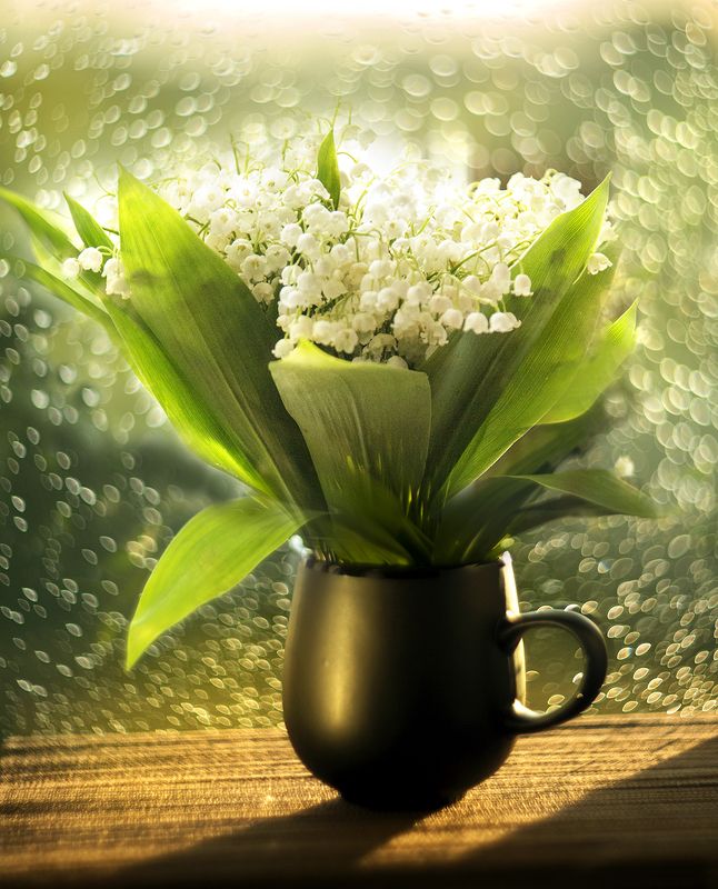 В тот месяц май..... фото превью