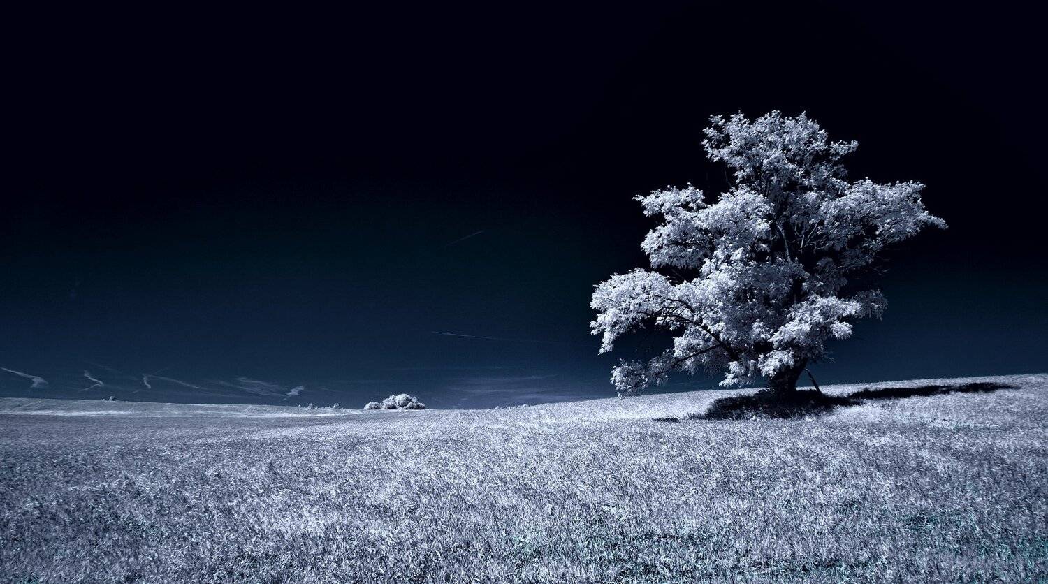 лето,природа,пейзаж,беларусь,инфракрасное фото,инфракрасная фотография,инфракрасная съемка,ик-фото,infrared, Sixten ( Сергей )