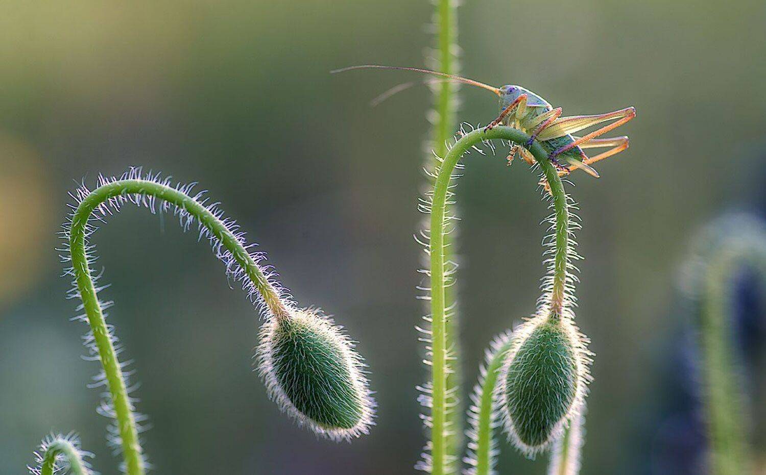 , Сергей Брагин