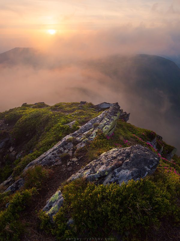 Карпаты, Украина, природа, горы, пейзаж, туман, landscape, nature, carpathians, ukraine, mountains, *** фото превью