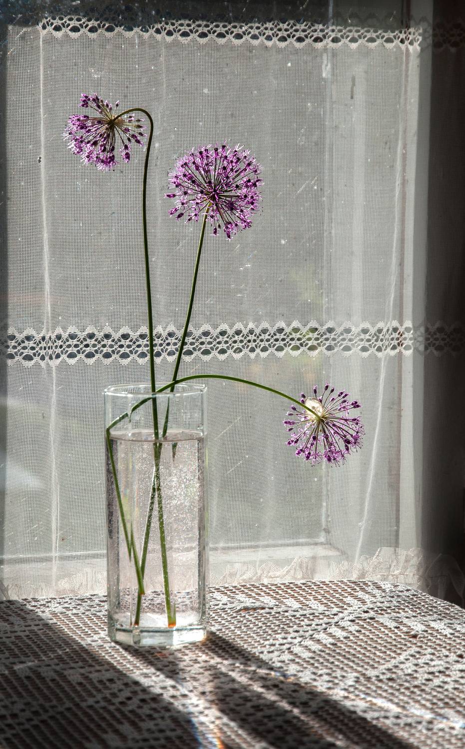 , Ирина Данилова