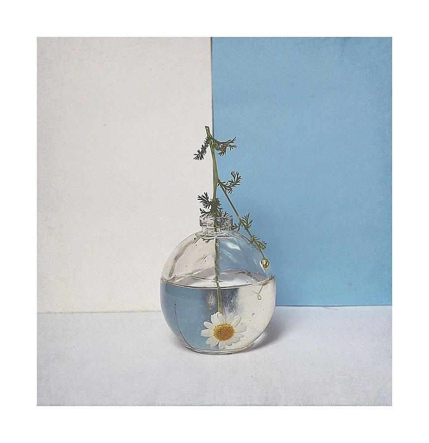 kwiat , rumian , martwa natura , biały, niebieski ,, Ela