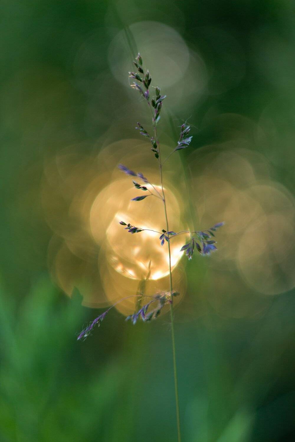 , Руслан Востриков