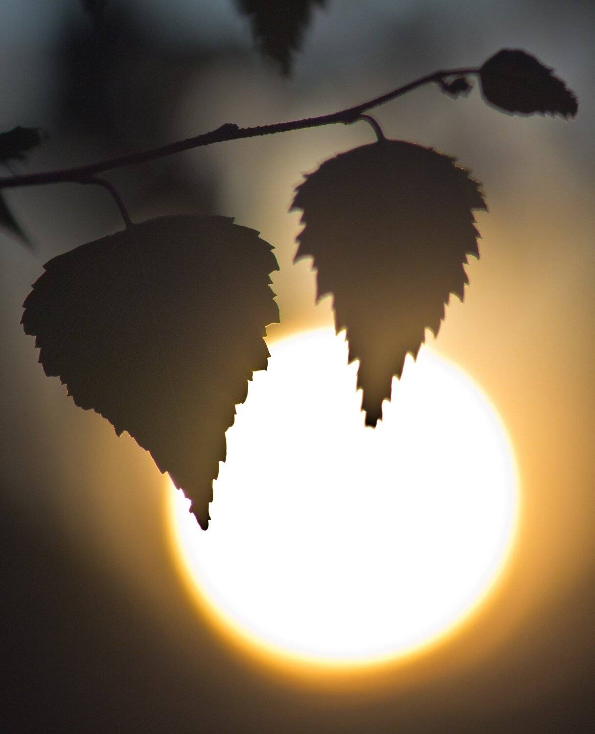 , Руслан Востриков