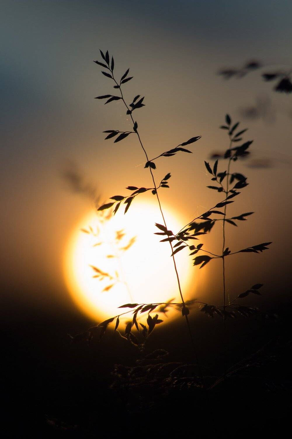 , Руслан Востриков