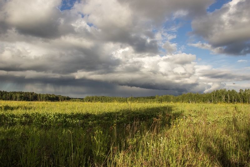 *** фото превью