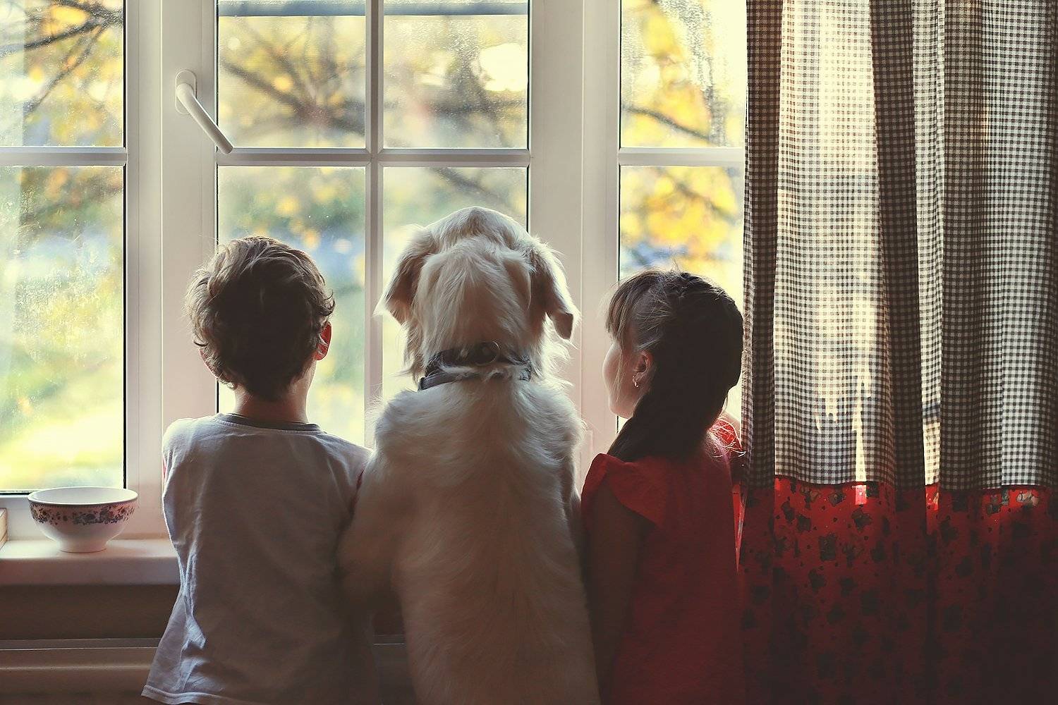 , Батиг Светлана