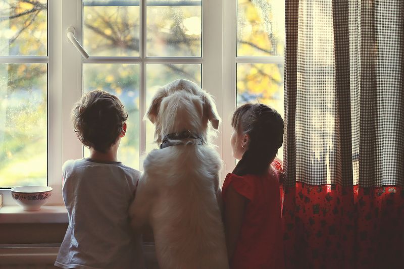 Момент созерцания фото превью