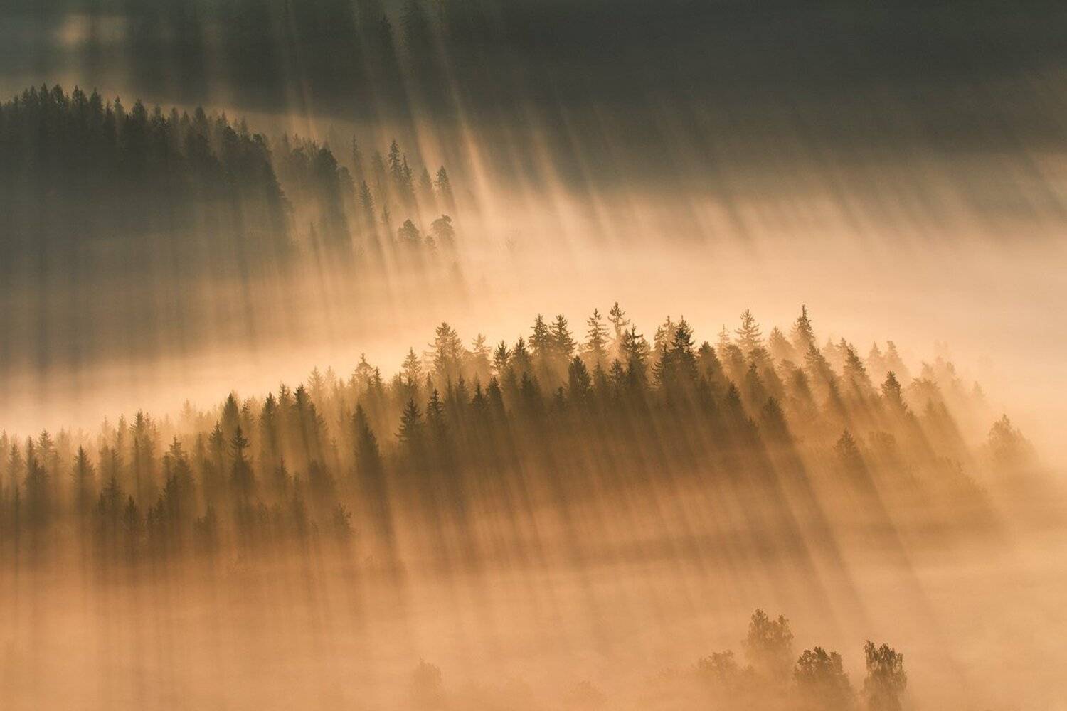 landscape,canon,mist,light,autumn, Iza i Darek Mitręga