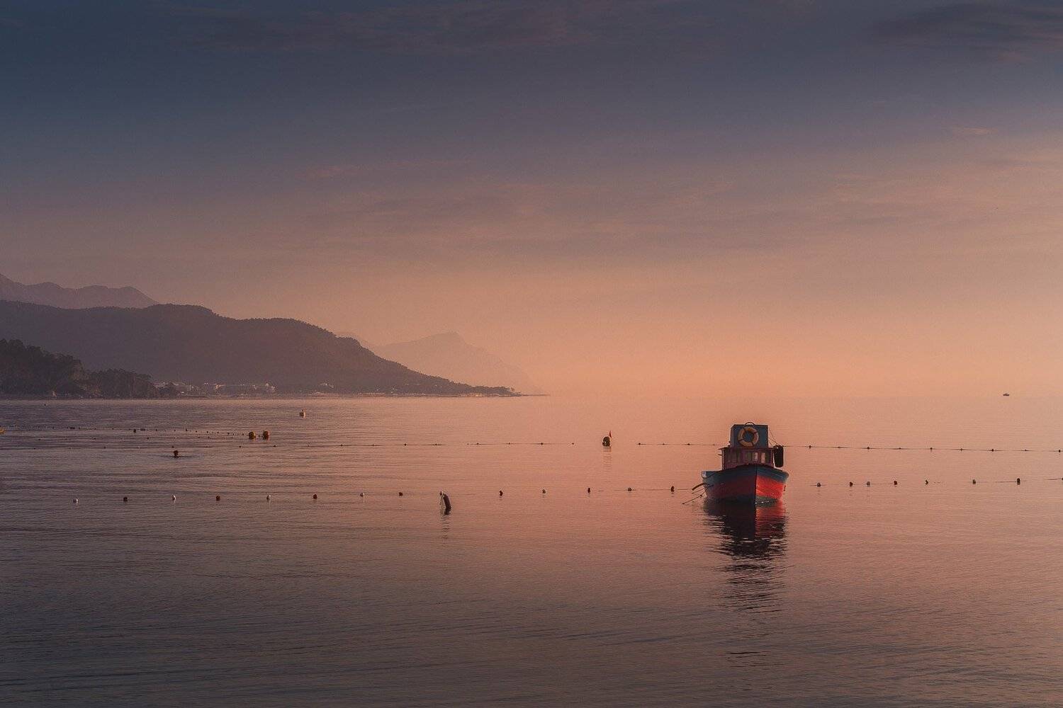 , Игорь Криницын