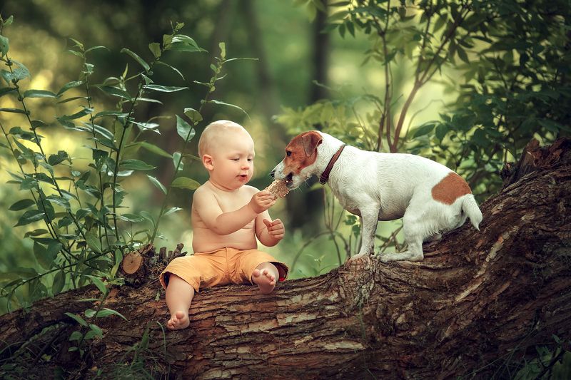 фото превью