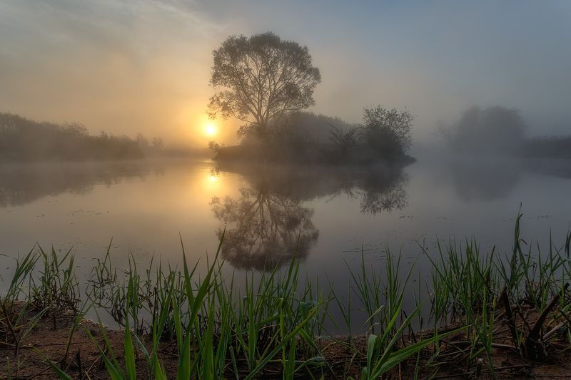 Магия утра создаёт иллюзию. фото превью