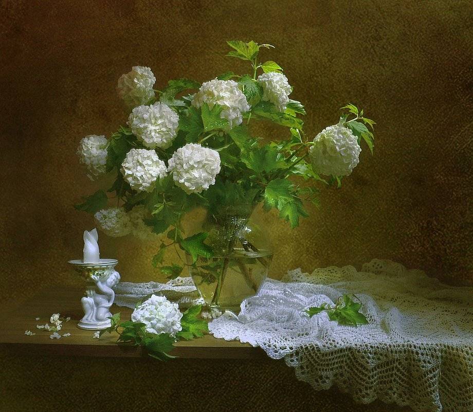 still life, натюрморт, весна, май, цветы, калина бульденеж, фото натюрморт, Колова Валентина