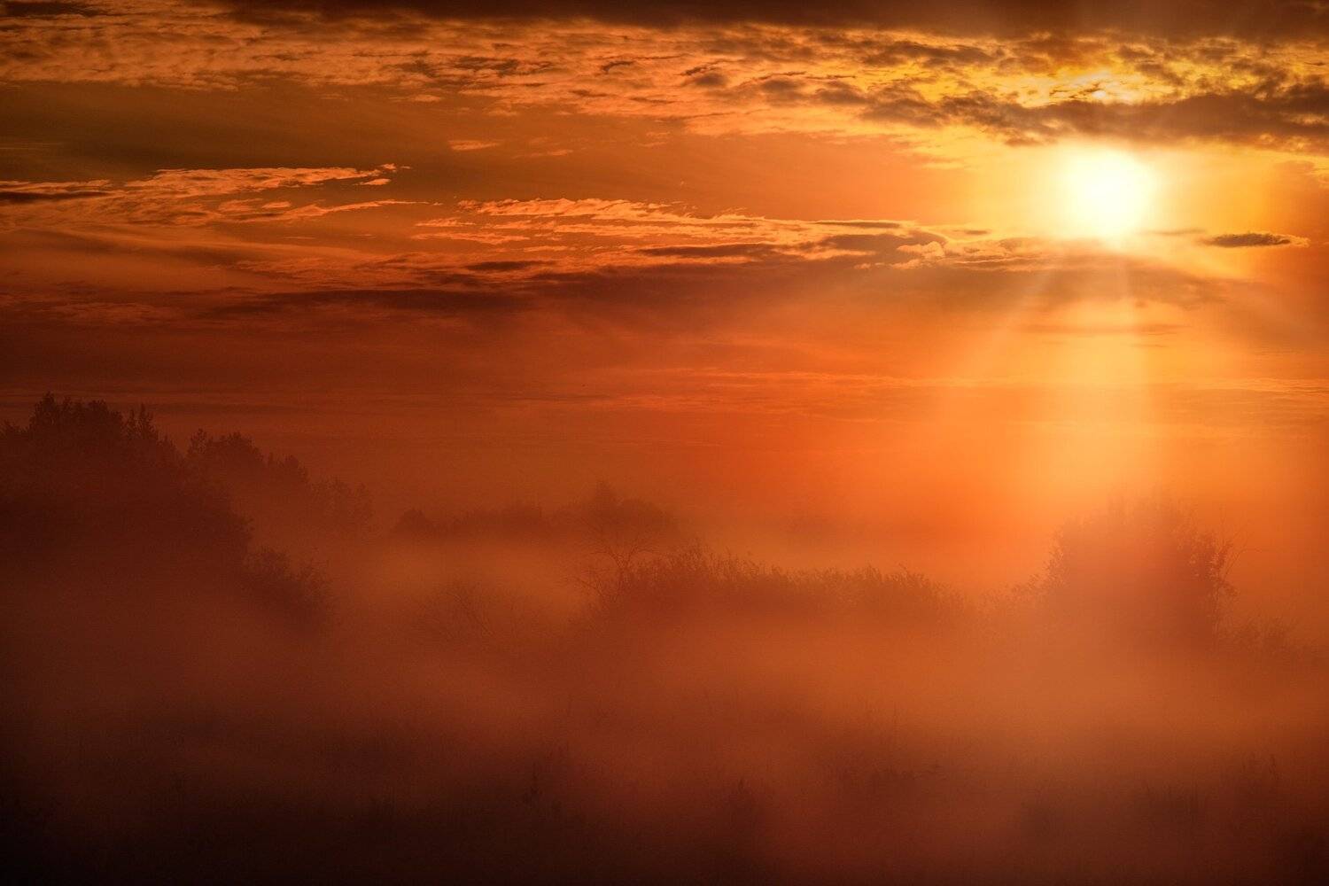 пейзаж, дубна, природа, поле, туман, красный, солнце, утро, рассвет, Андрей Чиж