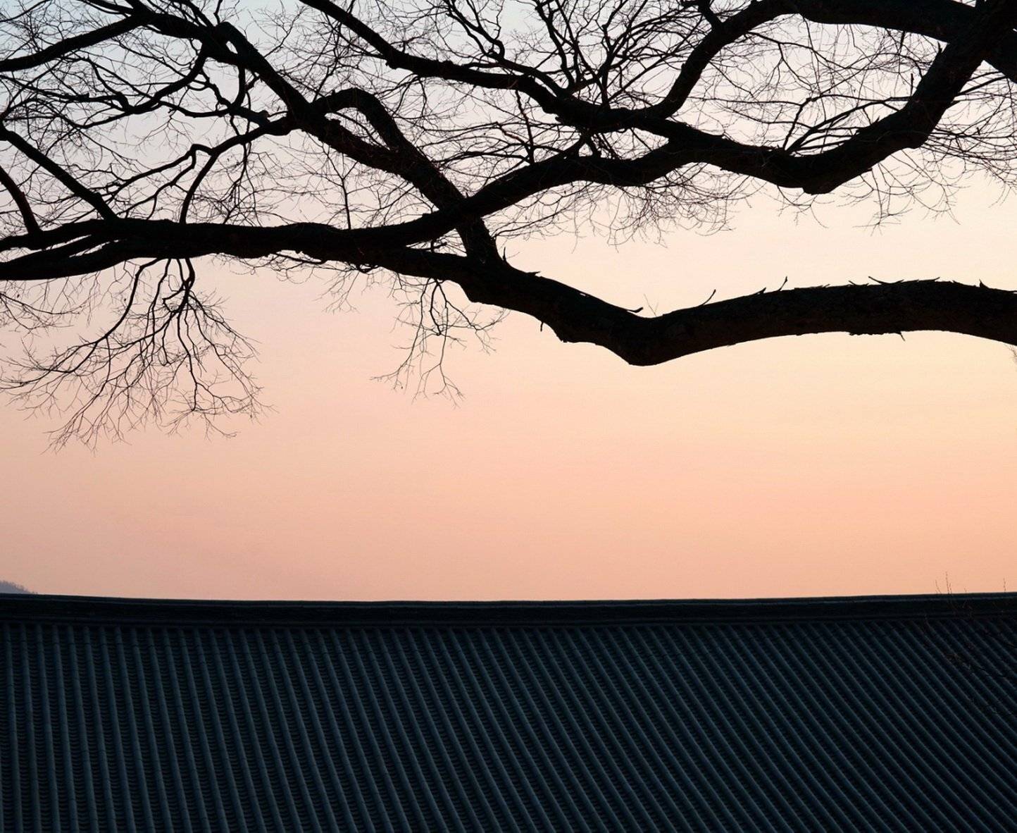 , Inkol Yu  유인걸