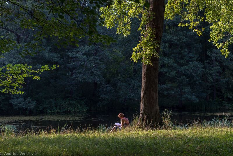Reading at Sunset фото превью