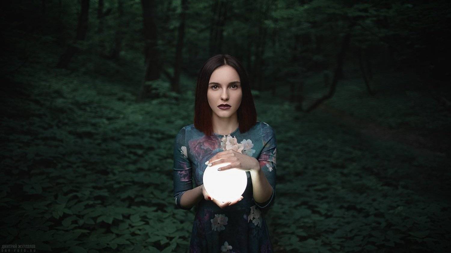 , Дмитрий Журавлев