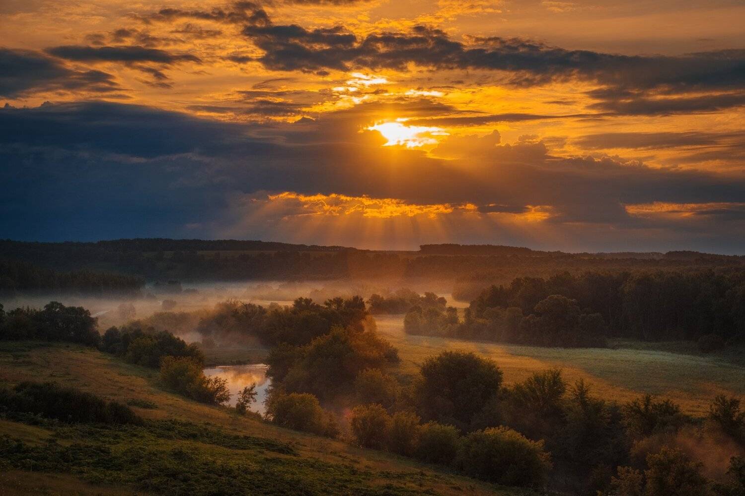фото, природа, пейзаж, рассвет, туман, лес, Екатерина