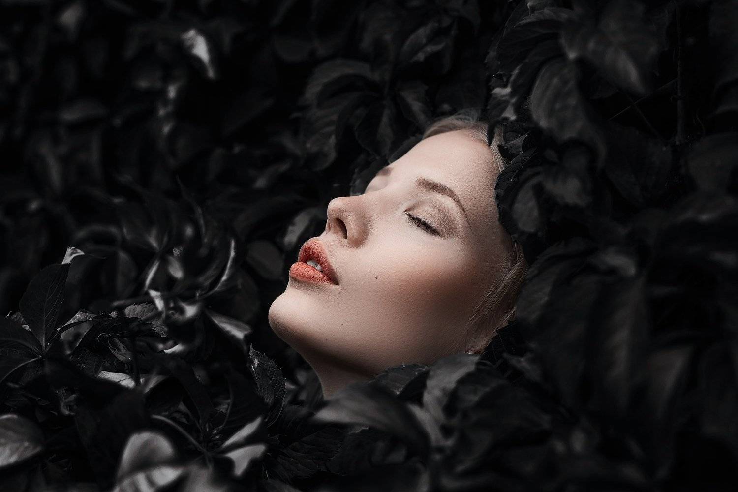 Портрет, женский портрет, девушка, взгляд, Россия , Дмитрий Александров