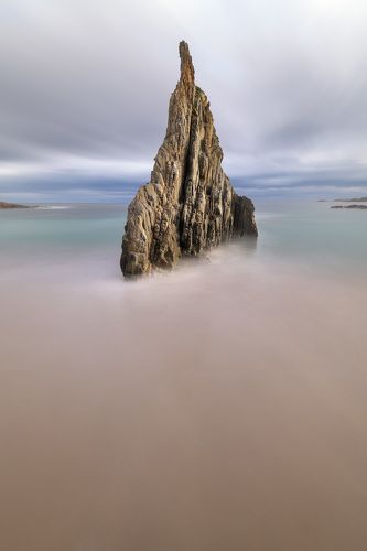 The Needle