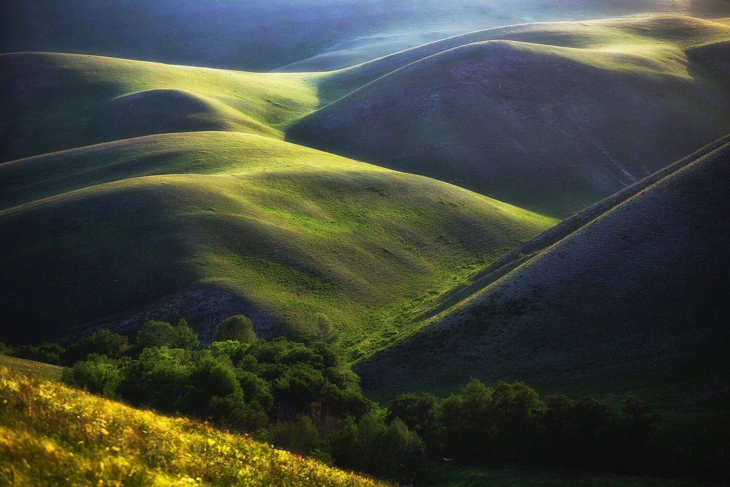 , Павел Сагайдак