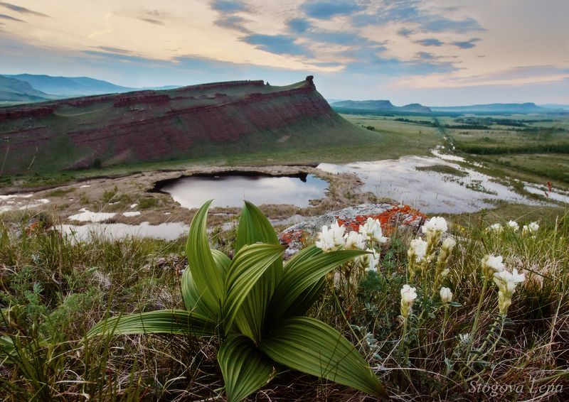 сундуки Сопки Хакасии фото превью