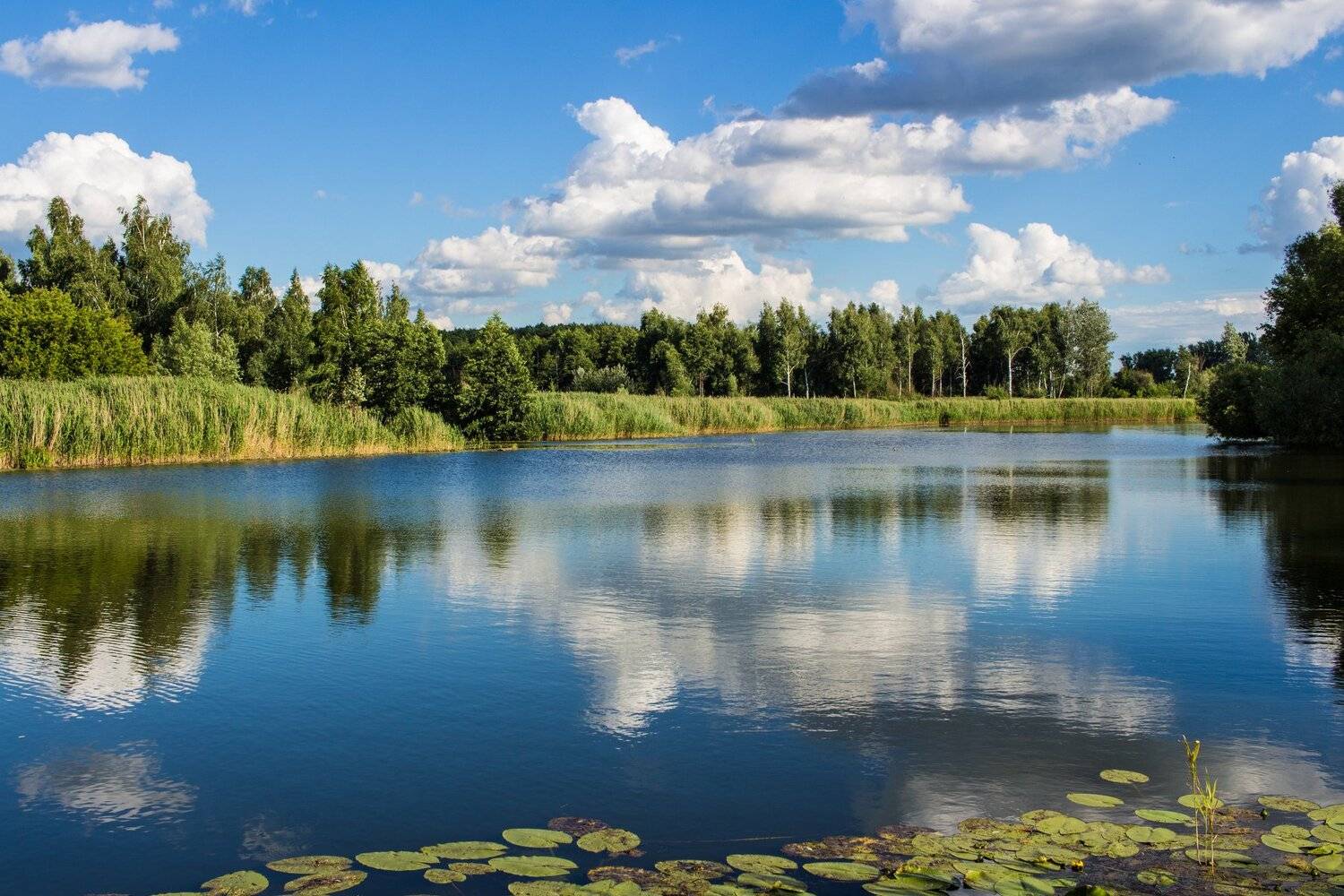 , Руслан Востриков