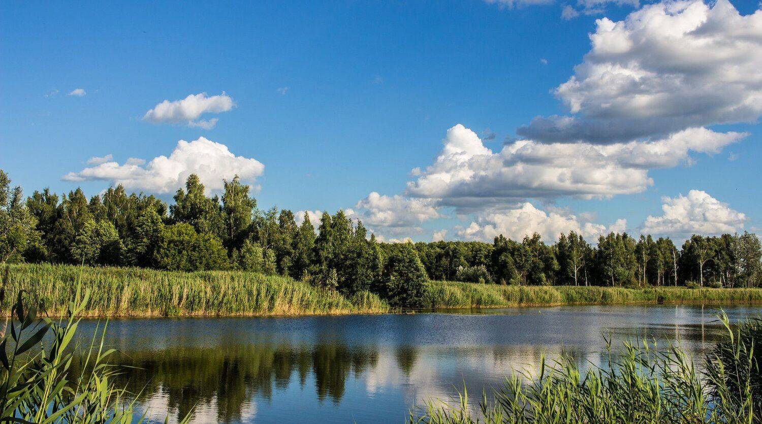 , Руслан Востриков