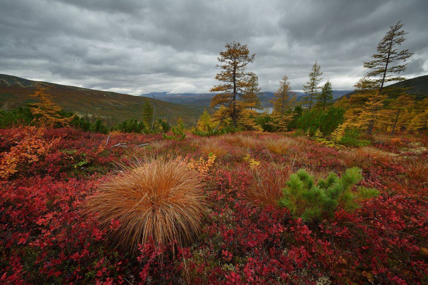 , Максим Евдокимов (phototourtravel.ru)