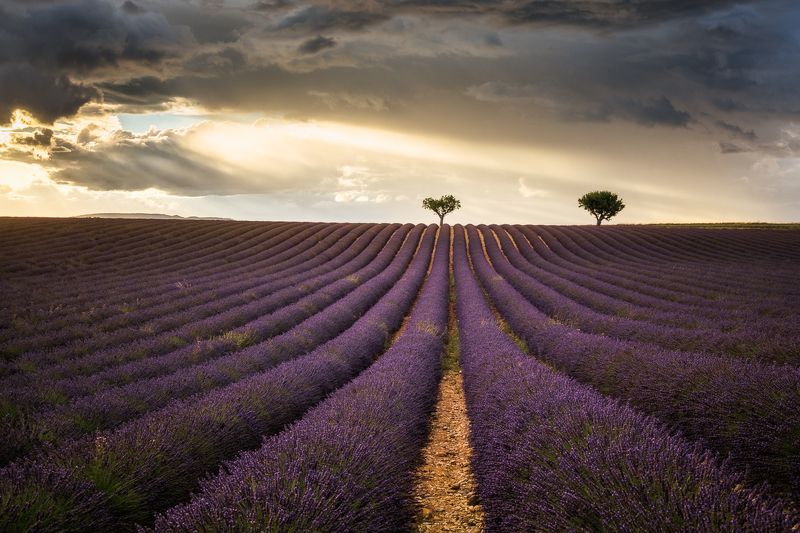 Sunraysphoto preview