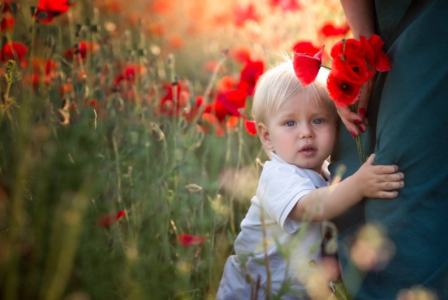 маковое поле, детская фотография, прага, мальчик, мальчик с мамой, красный цвет, леняя фотография, Важенина Лена