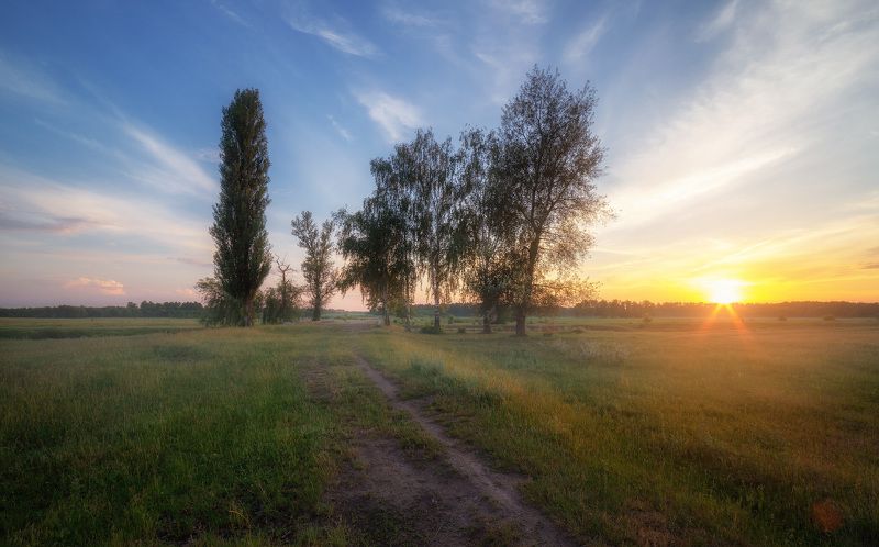 Неяркие зори окрасили дали... фото превью