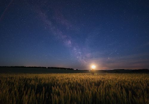 Прелесть летних ночей