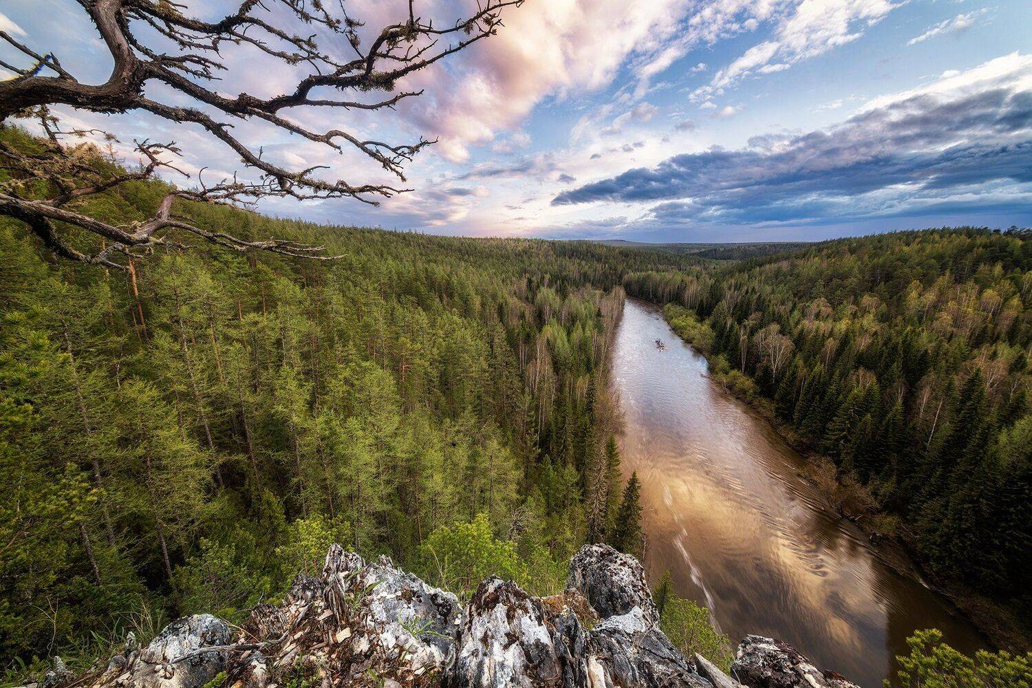 урал, тайга, ивдель, 11мм, d850, 11mm, irix, Василий Яковлев