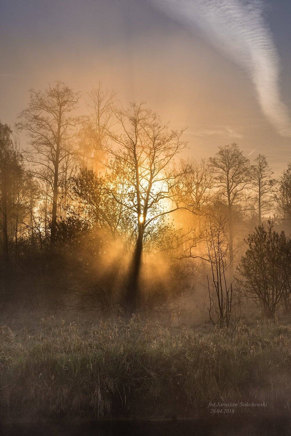 , Jarosław Sokołowski
