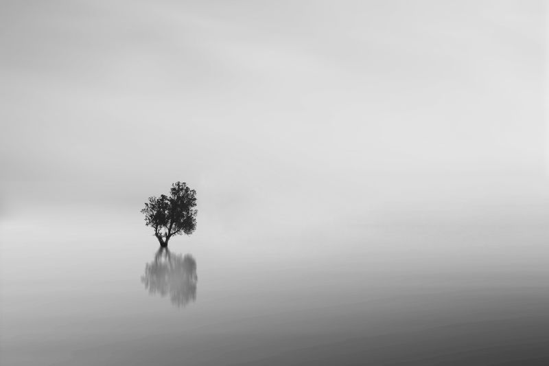 One фото превью