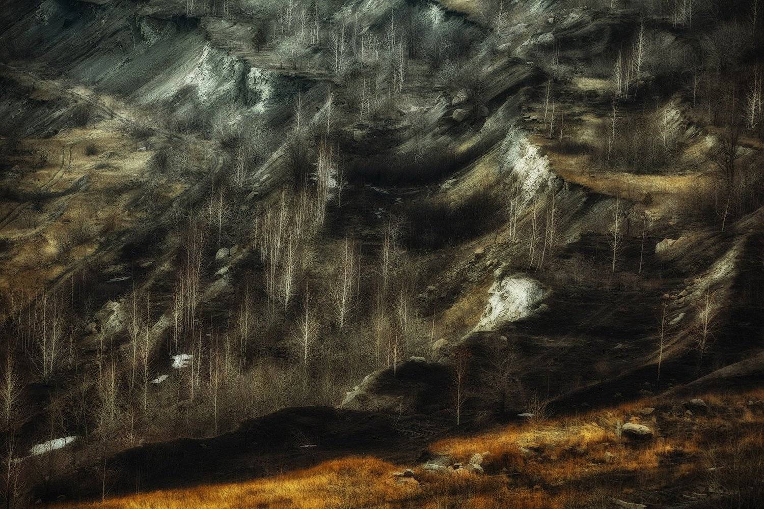 , Рашид Усманов