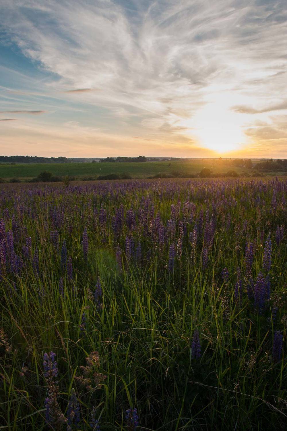 , Александр