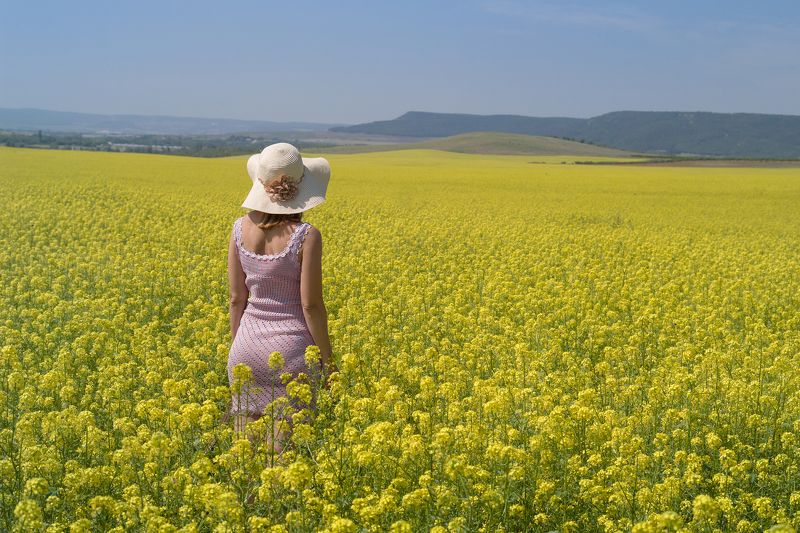 Рапс фото превью